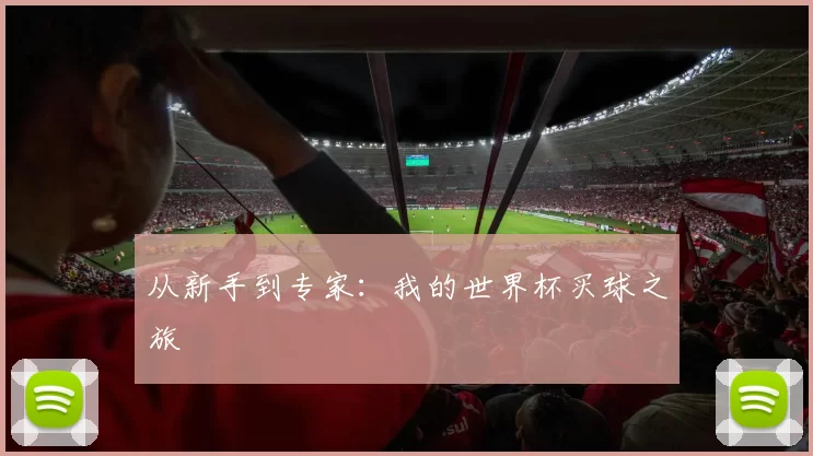 从新手到专家：我的世界杯买球之旅