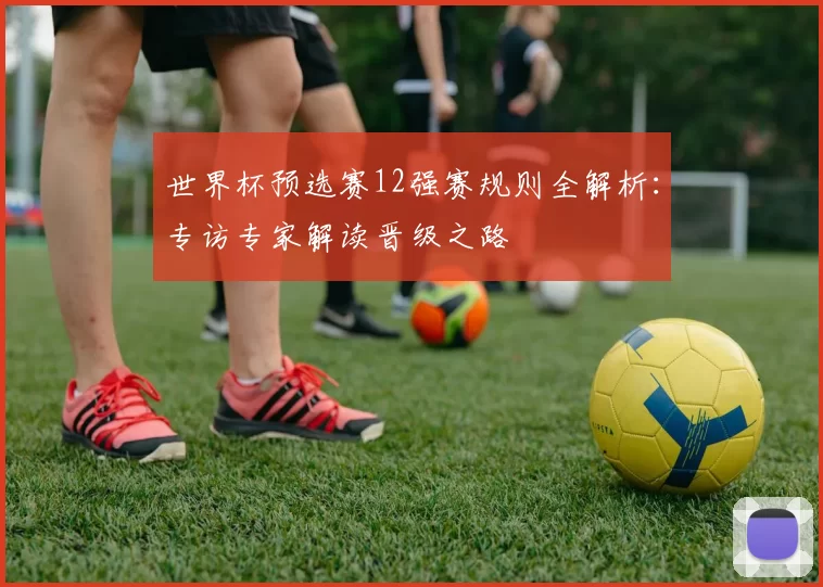 世界杯预选赛12强赛规则全解析：专访专家解读晋级之路