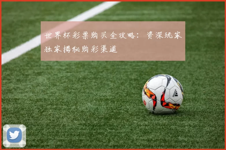 世界杯彩票购买全攻略：资深玩家独家揭秘购彩渠道