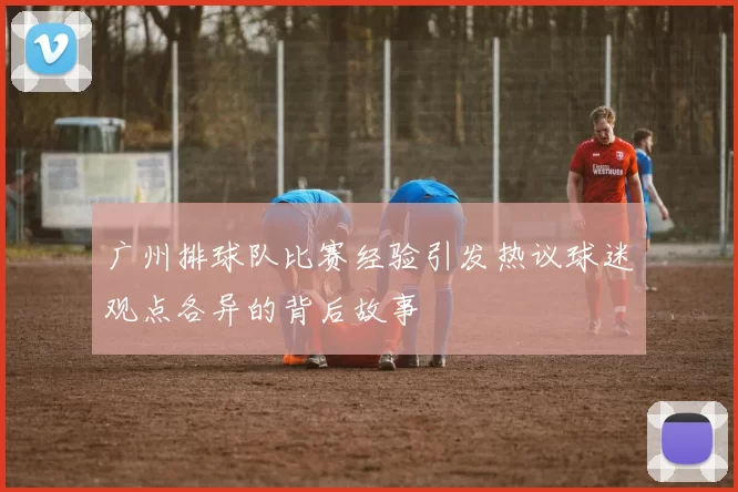 广州排球队比赛经验引发热议球迷观点各异的背后故事