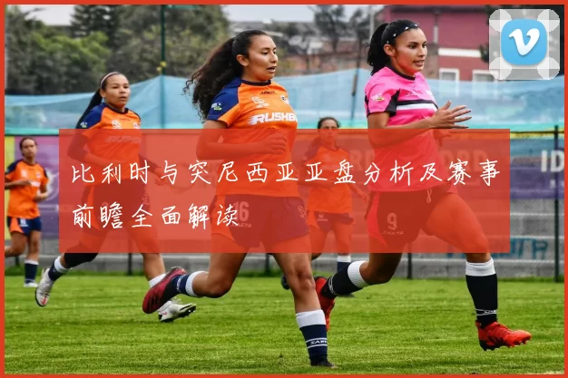 比利时与突尼西亚亚盘分析及赛事前瞻全面解读