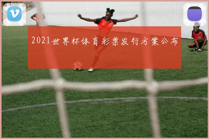 2021世界杯体育彩票发行方案公布