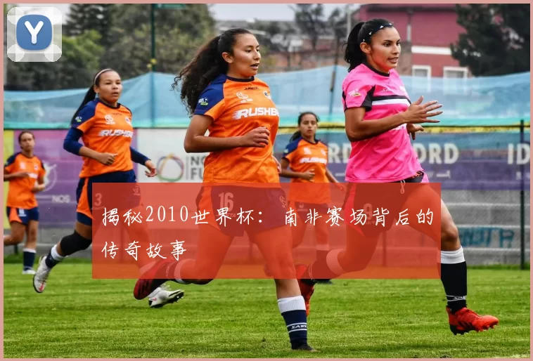 揭秘2010世界杯:南非赛场背后的传奇故事