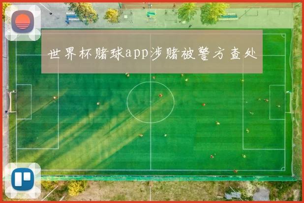 世界杯赌球app涉赌被警方查处