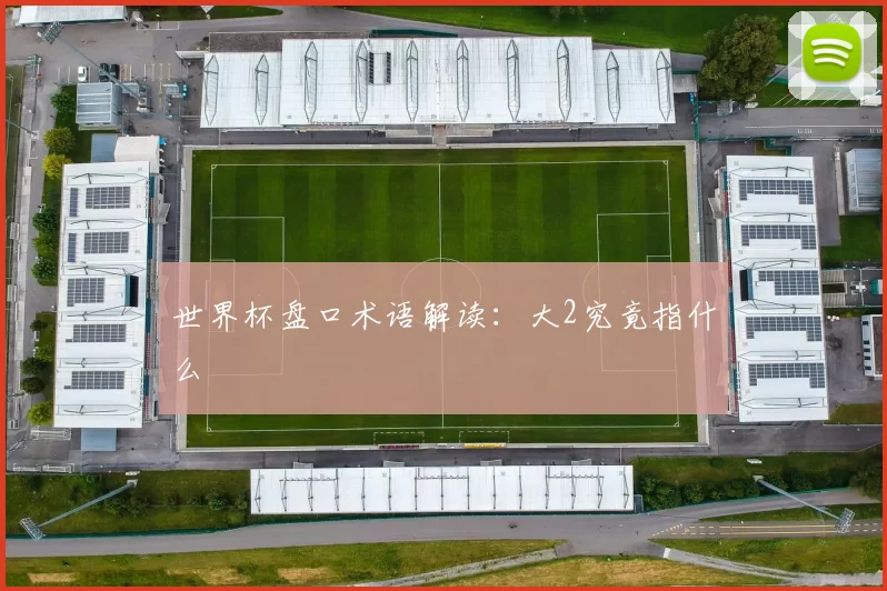世界杯盘口术语解读：大2究竟指什么