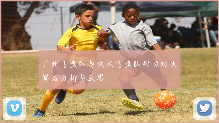 广州飞盘队与武汉飞盘队耐力对决赛后分析与反思