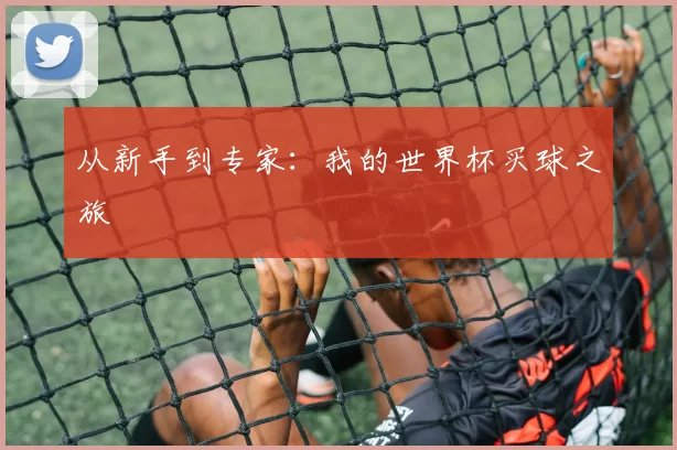 从新手到专家：我的世界杯买球之旅