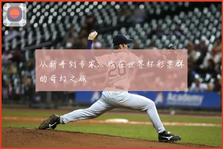 从新手到专家：我在世界杯彩票群的奇幻之旅