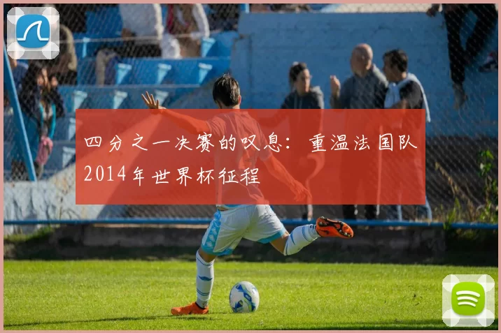 四分之一决赛的叹息：重温法国队2014年世界杯征程