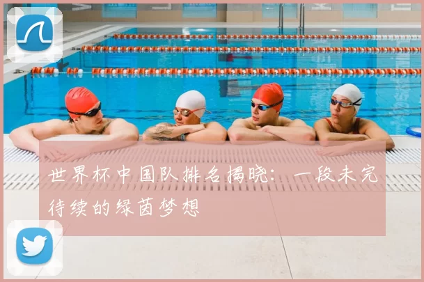 世界杯中国队排名揭晓:一段未完待续的绿茵梦想