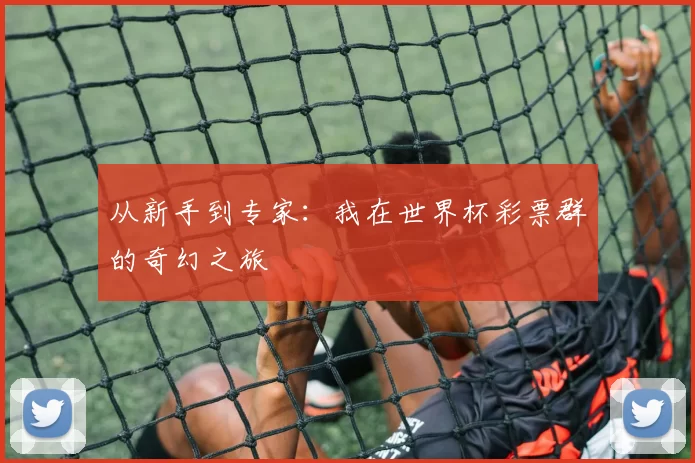 从新手到专家：我在世界杯彩票群的奇幻之旅