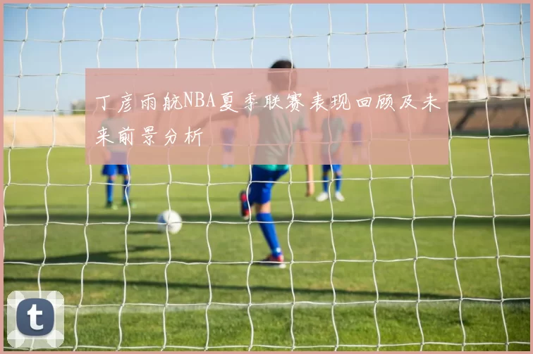 丁彦雨航NBA夏季联赛表现回顾及未来前景分析